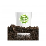 Vaso Biodegradable